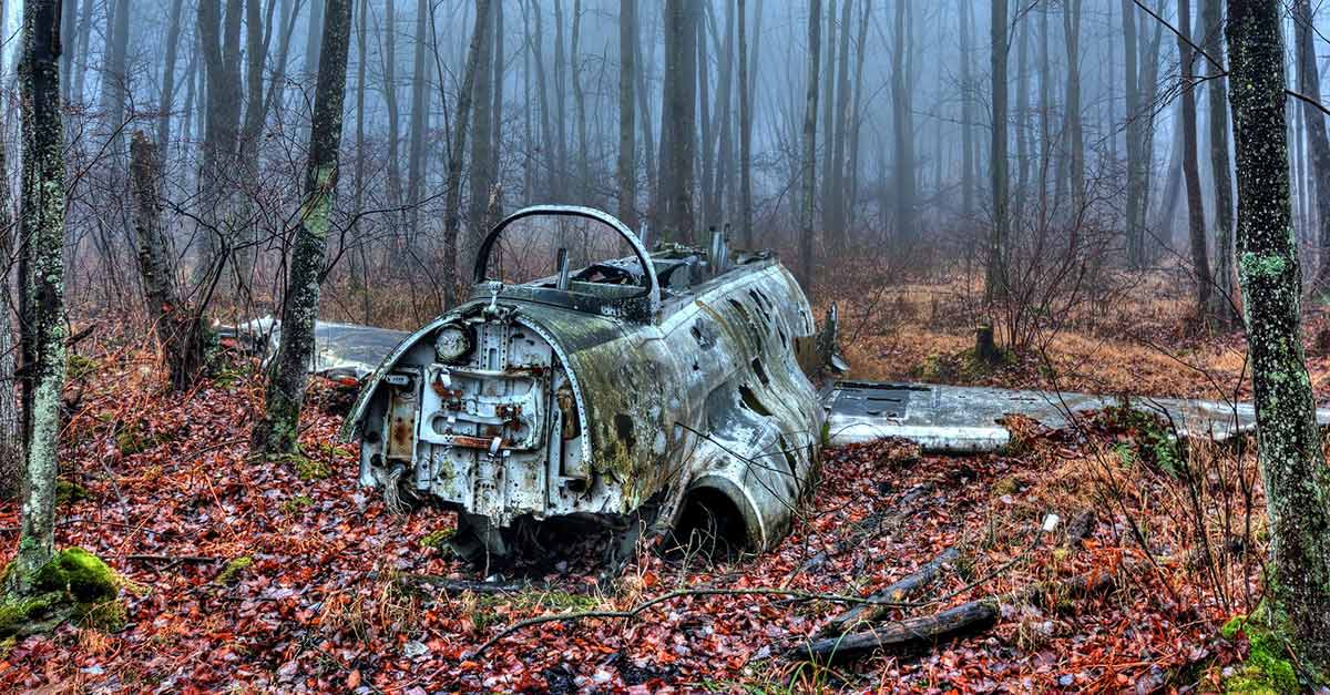 click for next image... slideshow image